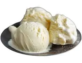 Best Vanilla Frozen Custard in Brooklyn